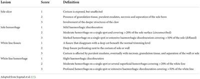 Treatment protocols for claw horn lesions and their impact on lameness recovery, pain sensitivity, and lesion severity in moderately lame primiparous dairy cows